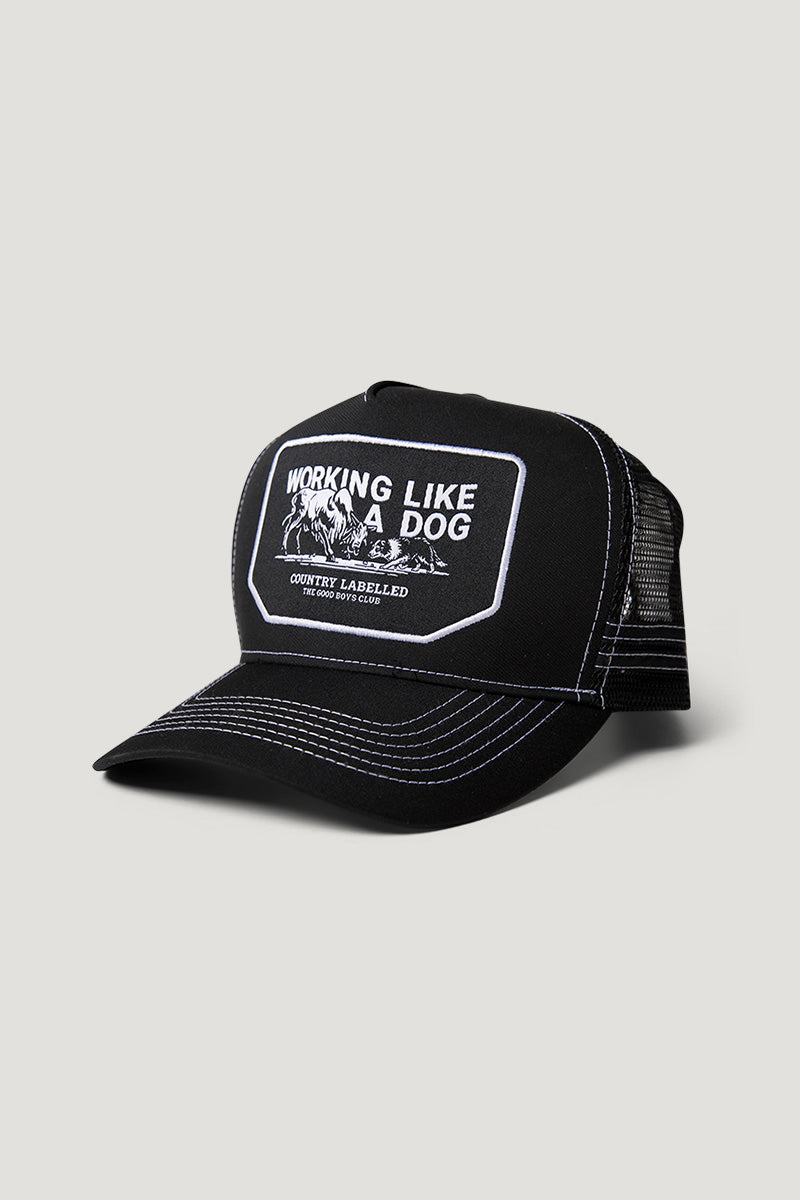Working Like A Dog All Day In Kountry Hat