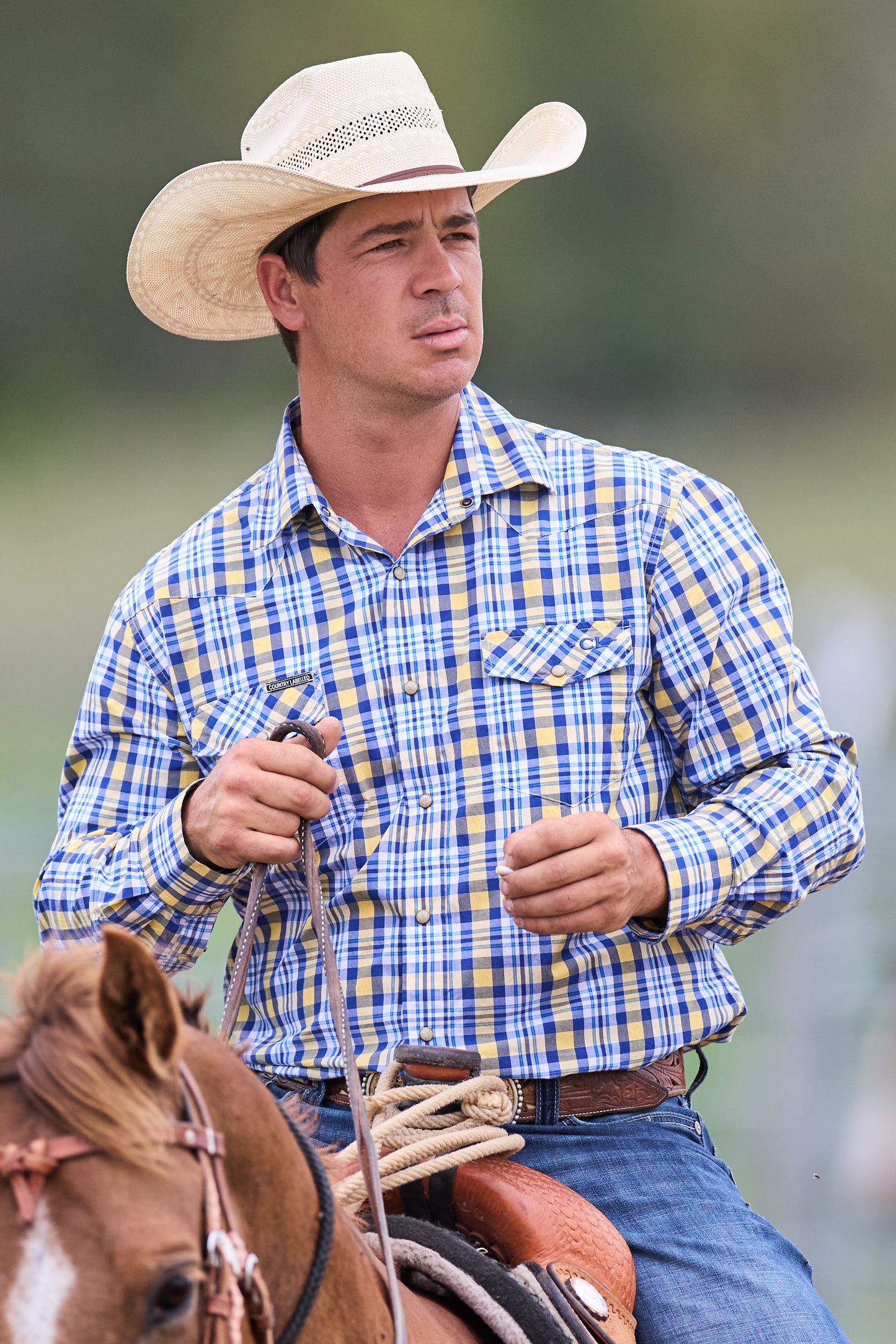 CL Cowboy Pearl Snap Button Up - Blue & Gold Check
